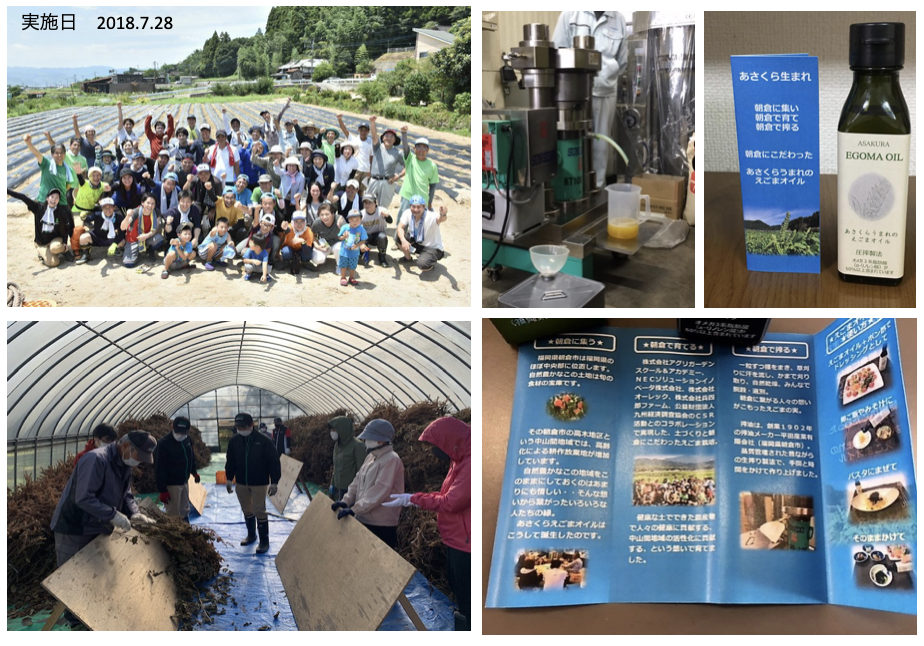 えごま油生産・販売事業の実績