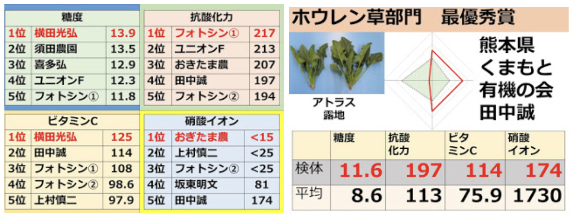 数値が証明する「圧倒的な栄養価」—ほうれん草の常識を覆す